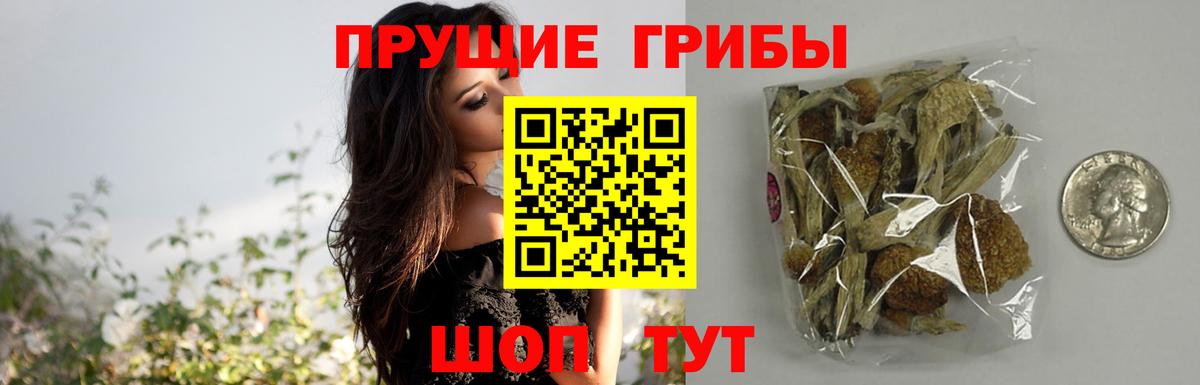 сколько стоит  Галлюциногенные грибы Magic Shrooms  Вход с VPN  Ленинск-Кузнецкий  Псилоцибиновые грибы Magic Shrooms 